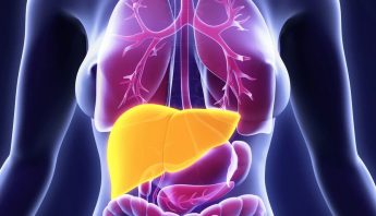 LIVER AND UPPER ABDOMEN SCAN