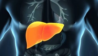 LIVER SCAN FOR MAN